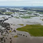 Macca breakthrough: good yields in half the time