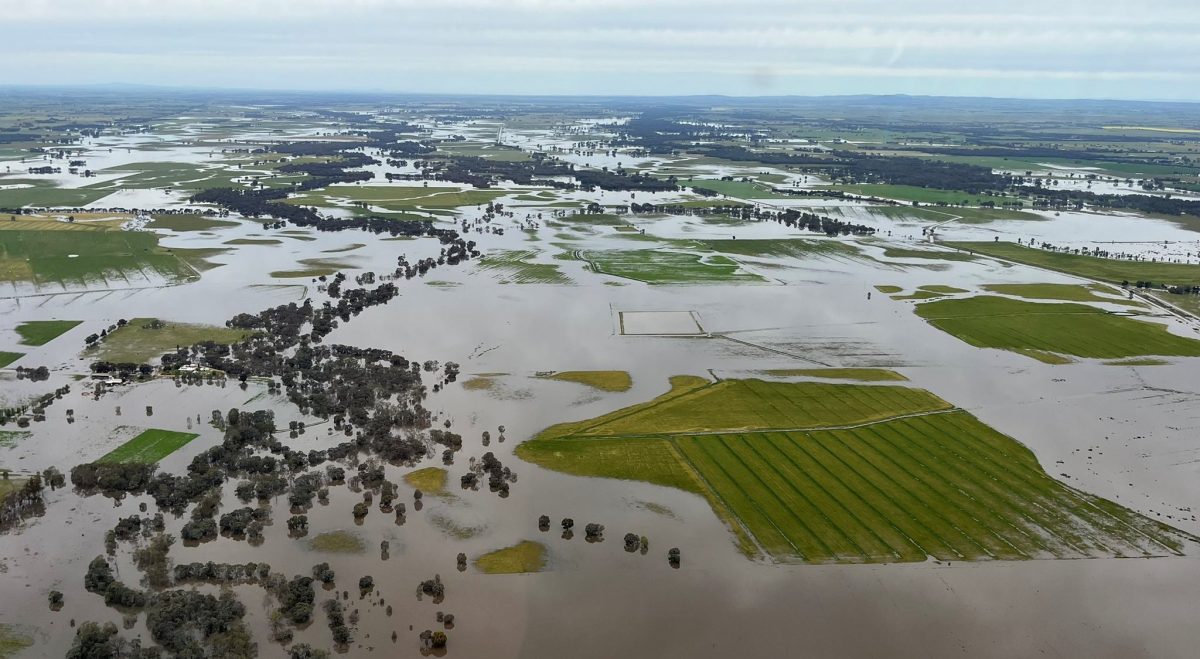 Feedgrain Focus: Prices surge as floods throttle supply