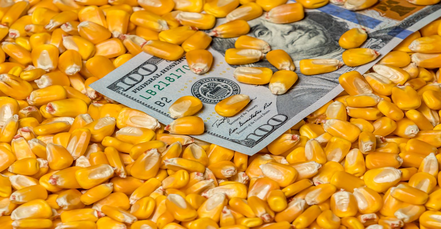 Is there a corn price and dry distiller grain price relationship?