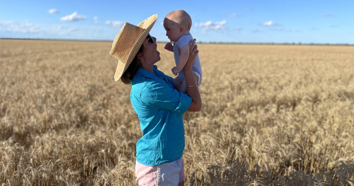 Farming continues with trepidation on islands in the inland sea