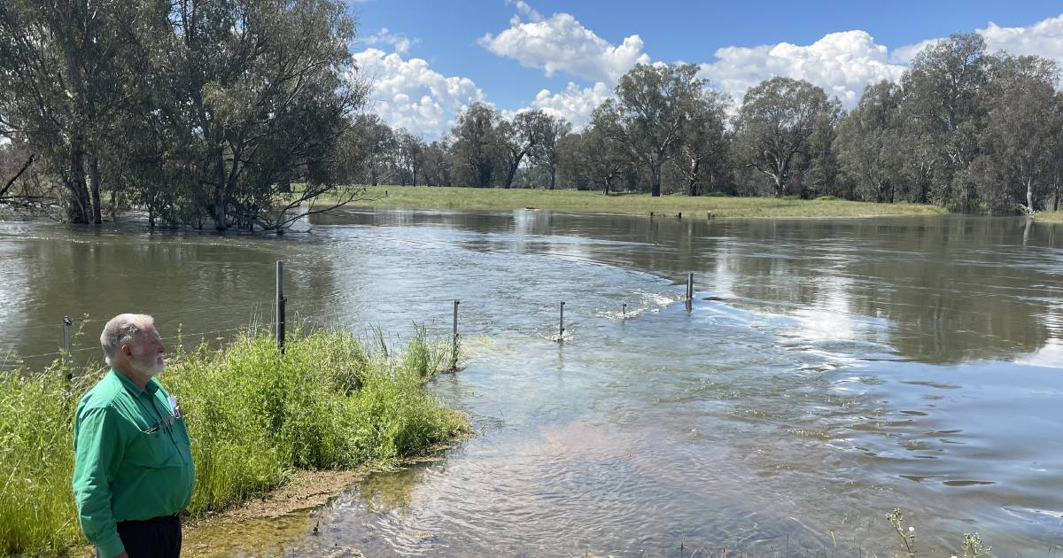 Under water at Bonegilla for past 13 weeks| Photos