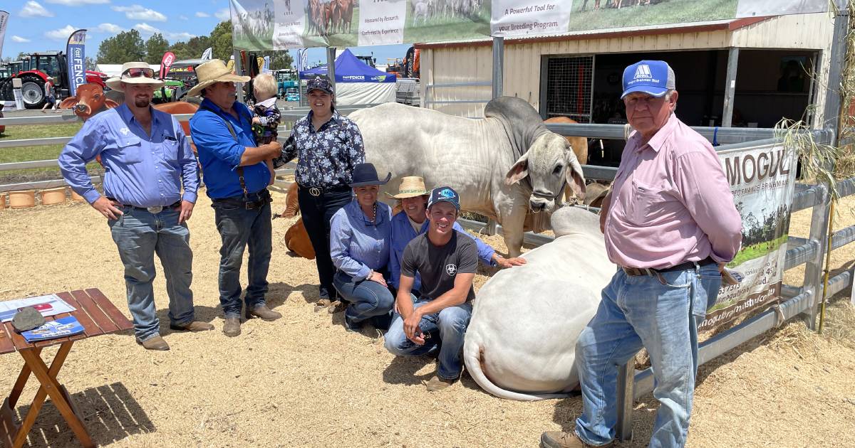 Resilient Primex Field days delivers wow to crowds