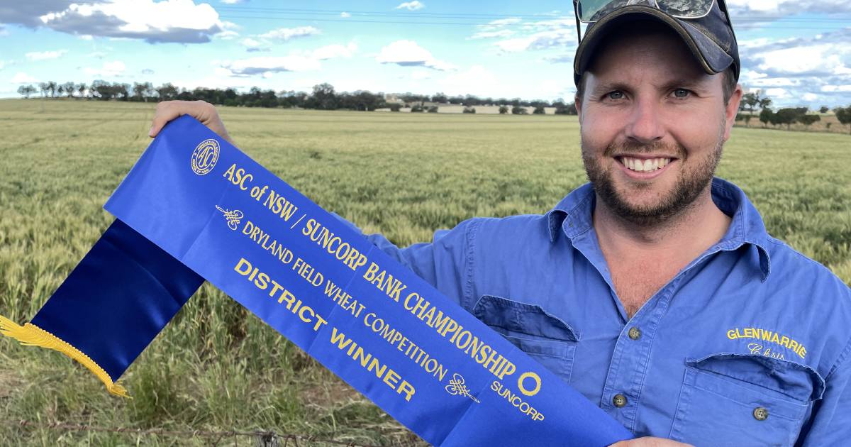 Sunchaser wheat wins Duri Ag Bureau competition