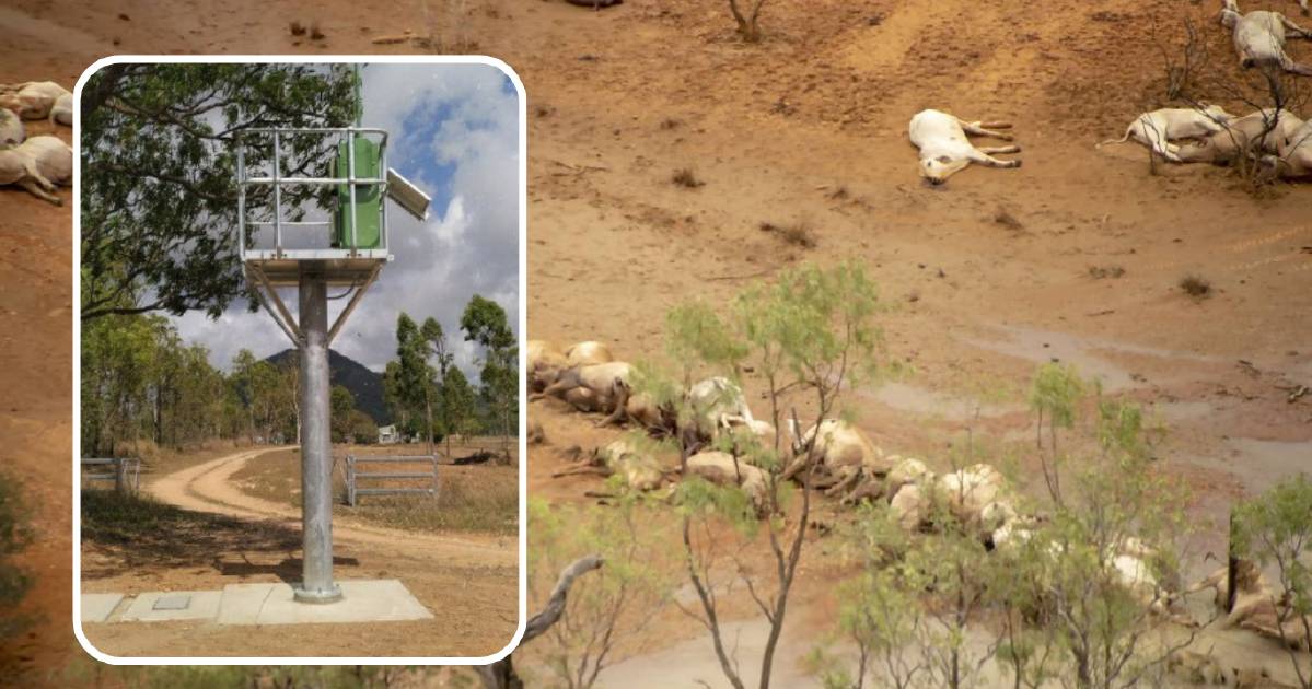 North west graziers welcome $8m upgrade to region's flood warning assets