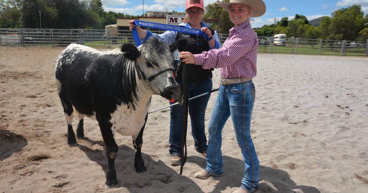 Northern Schools steer competition comes to Manilla