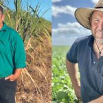 Dan Hayllor said it is good to have yields, price and quality on his side | Queensland Country Life