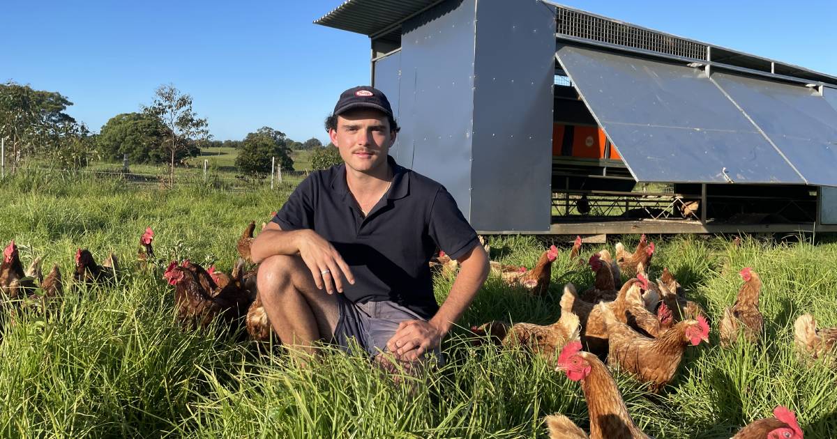 Cracking into the market: The 21-year-old who's built a thriving free range egg operation from scratch