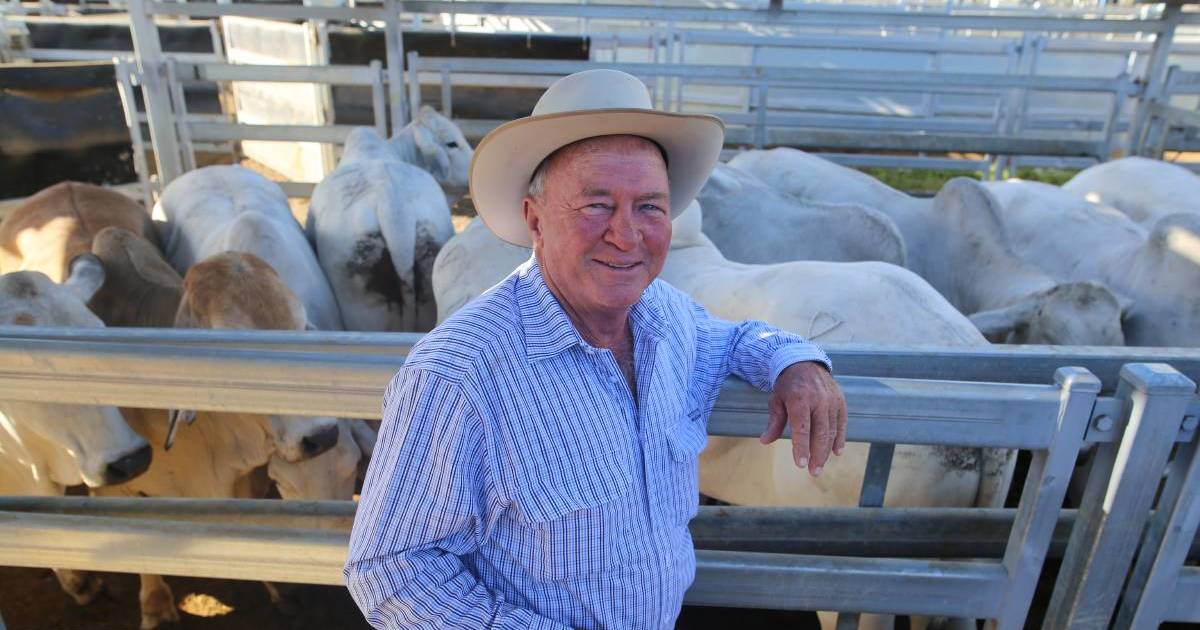 Stewart Nobbs among syndicate to secure a slot in The Archer | Queensland Country Life