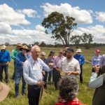 Tully teacher rewarded for decades of dedication to school cattle stud