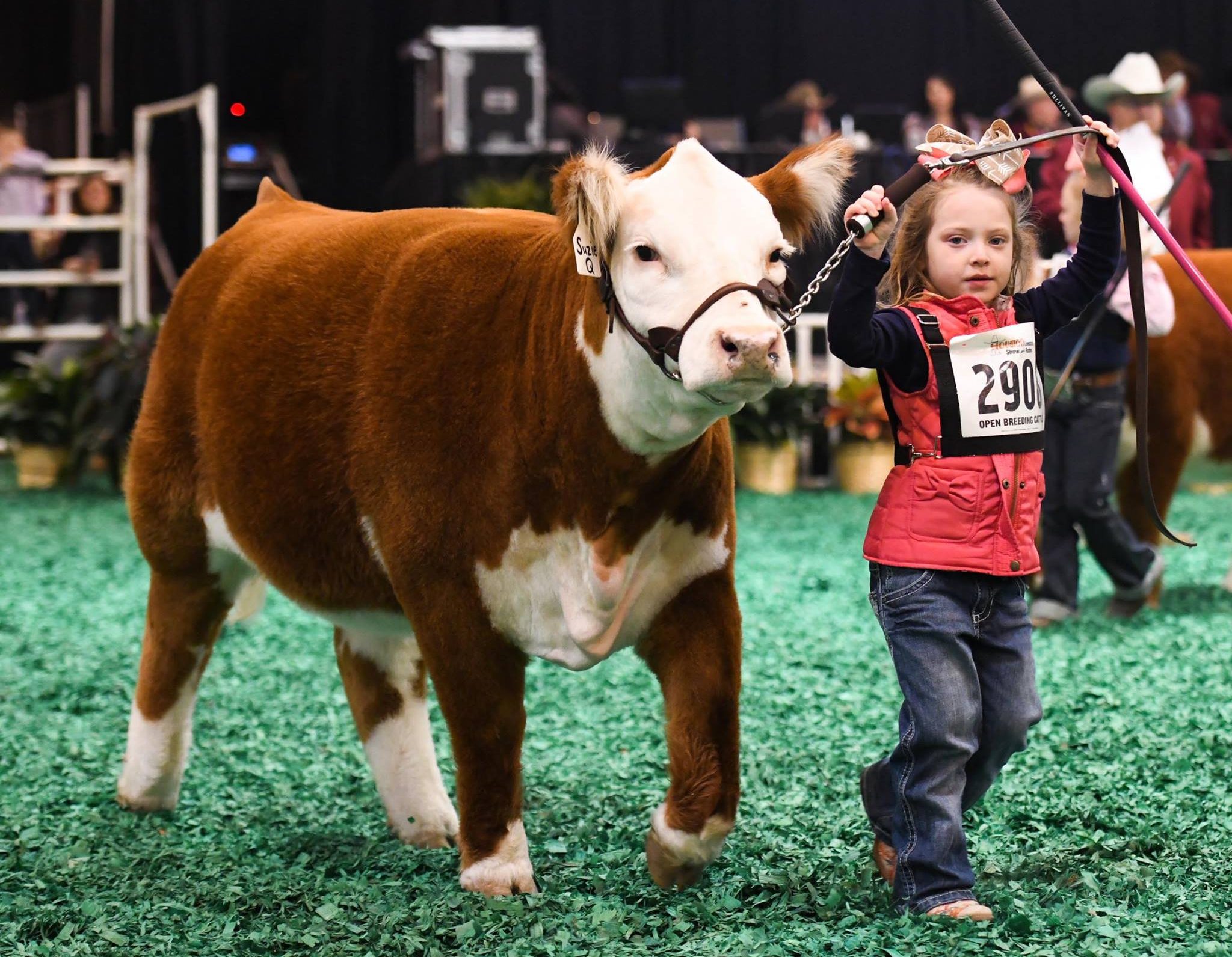 World’s largest stock show to feature in Beef Central’s Texas study tour