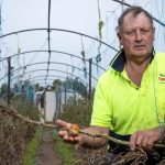 Goulburn to celebrate innovation in agriculture