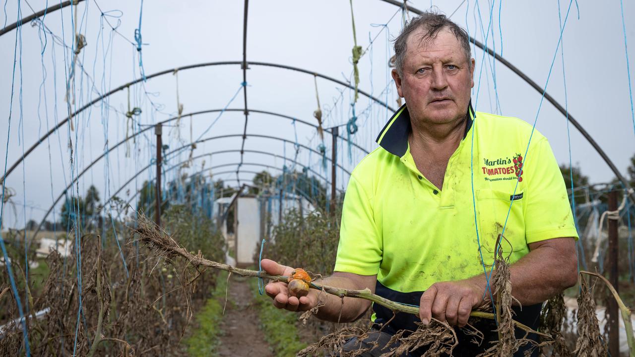 Flood crisis helpers need volunteers through BlazeAid