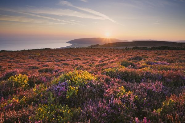 National Parks hit by the financial crisis: ‘It’s never been anywhere near as bad as this in 30 years’