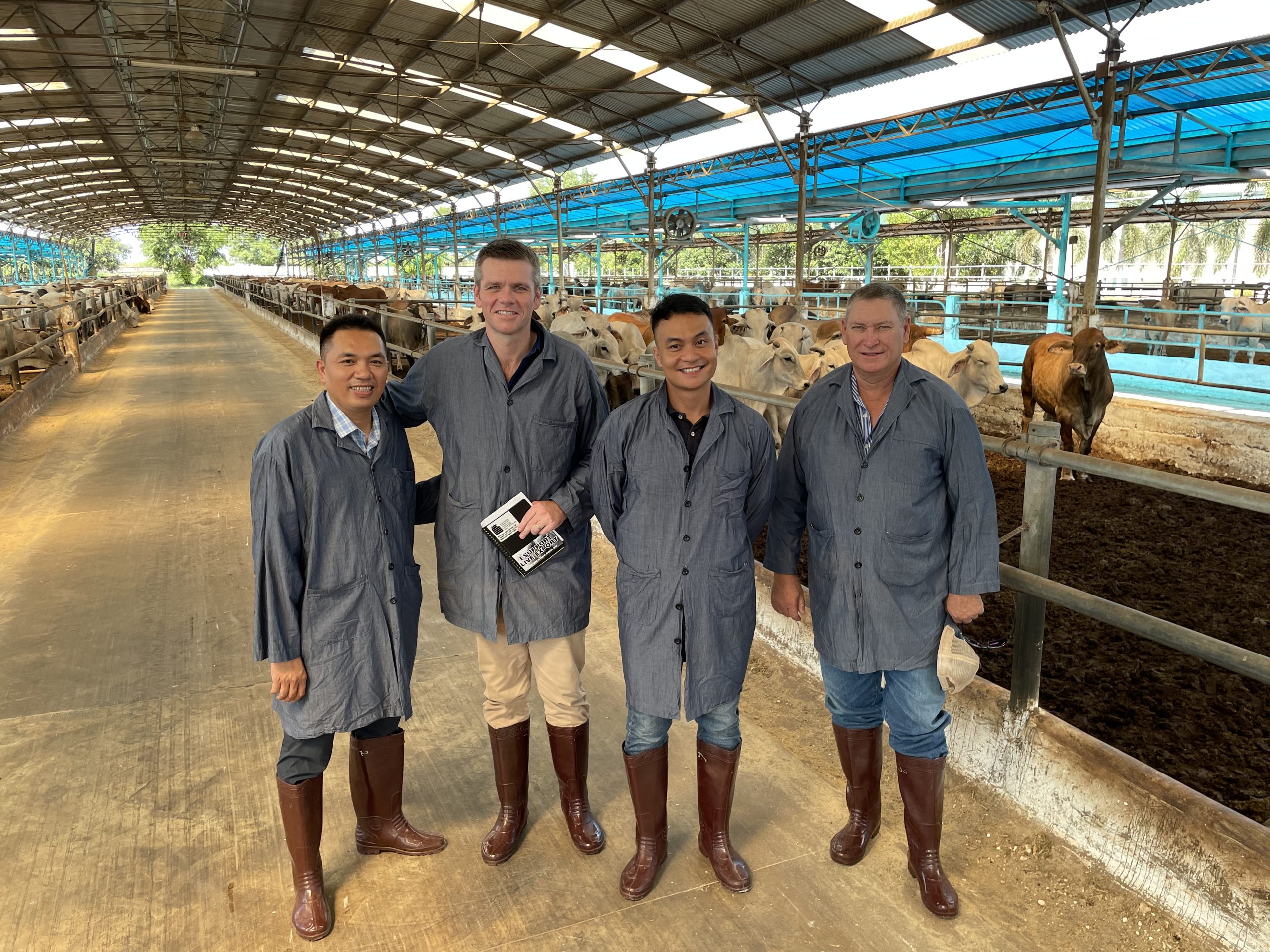 Challenges galvanising northern cattle producers and exporters from Darwin to Vietnam