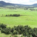 Freak flood at Eugowra