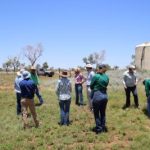 Bundy field day cancelled for 2023