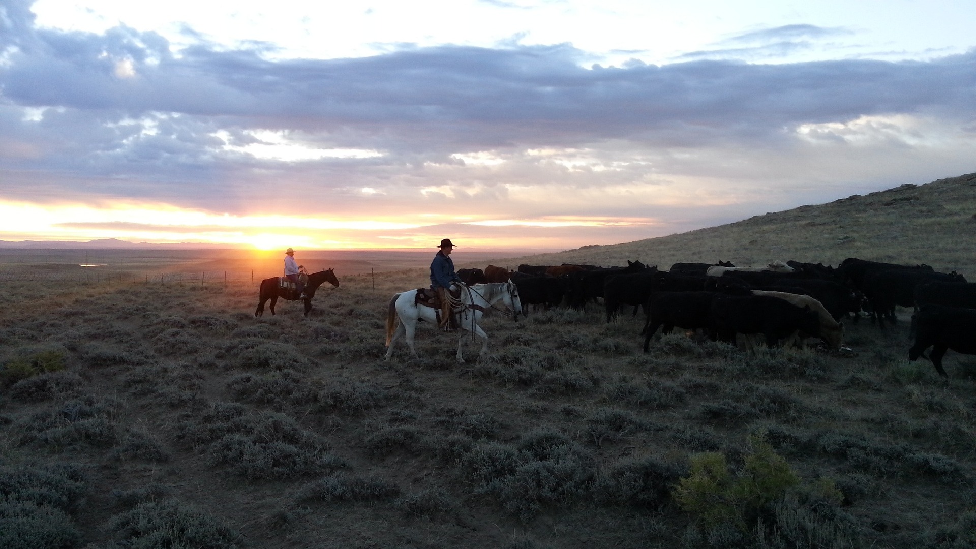 Public Lands Council, Forest Service Sign grazing MOU