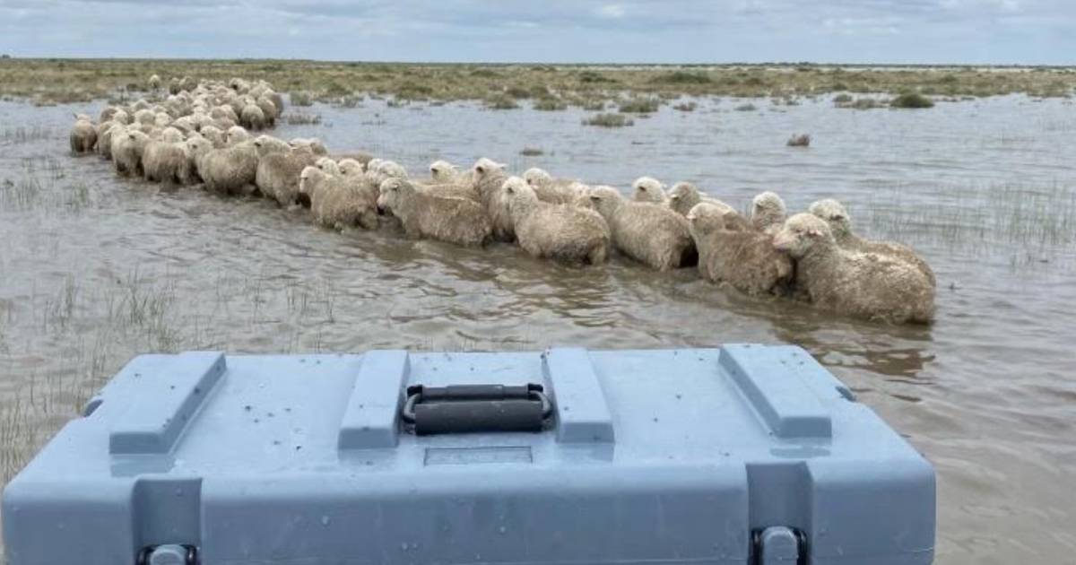 NSW floods: Photos