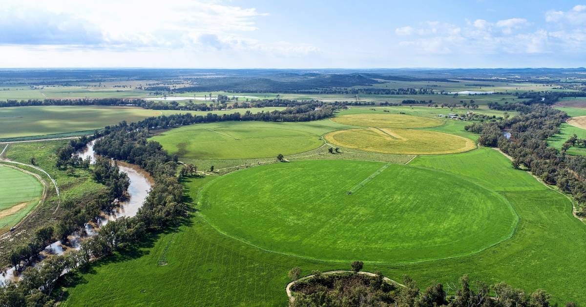 Well watered Baroona sold at auction