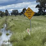 Woman and dog rescued near Kynuna