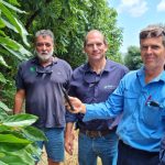 Murray Grey cross weaner steers reach $1890 at Woodford | Queensland Country Life