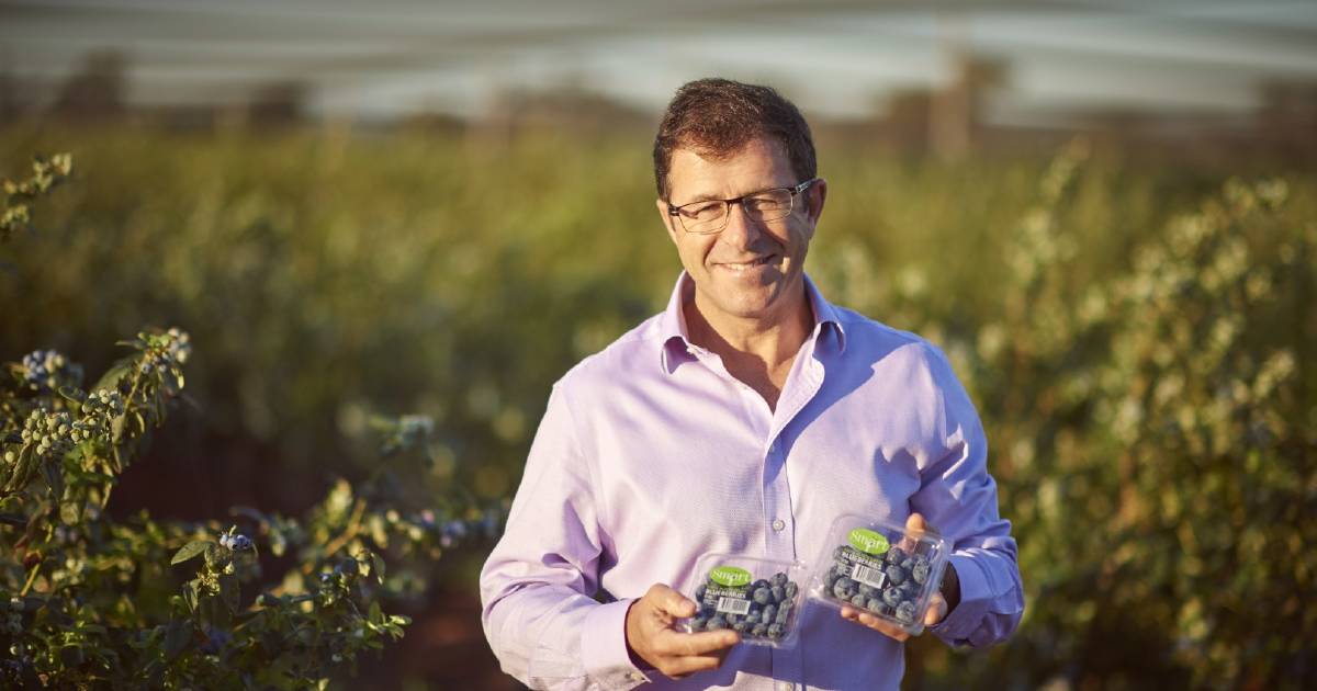 Queensland looking berry good as growth surges