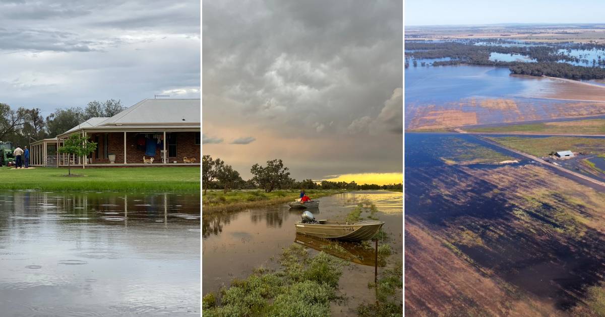 Photos of the floods from all over NSW