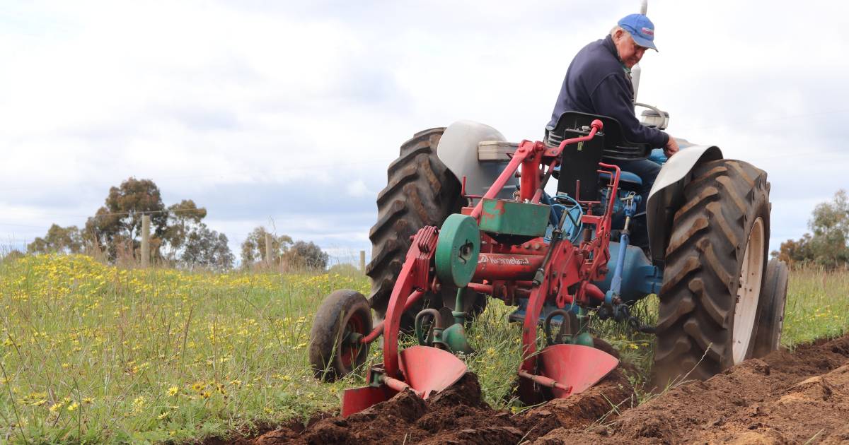 The dying art of mouldboard ploughing