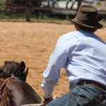 Judges flock to Dubbo for Western Group Zone finals | The Land