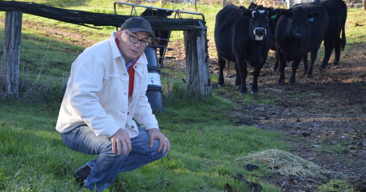 Simon Quilty, Global AgriTrends Australia in Albany tomorrow | Farm Weekly