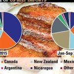 Floyde Neil sets 8hr crossbred world shearing record | Farm Weekly