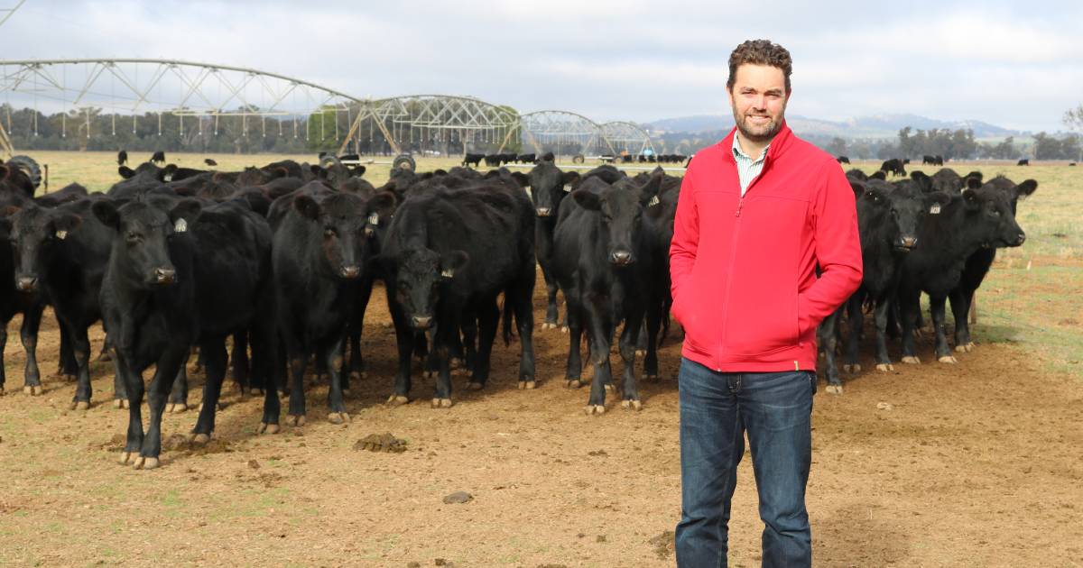 Dual purpose crop grazing with wheat and canola can transform the industry | The Land