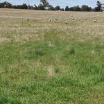 Governor cracks into native nuts at Bundaberg