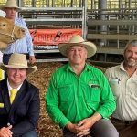 Charbray weaner steers sell for $1850 at Eumundi | Queensland Country Life