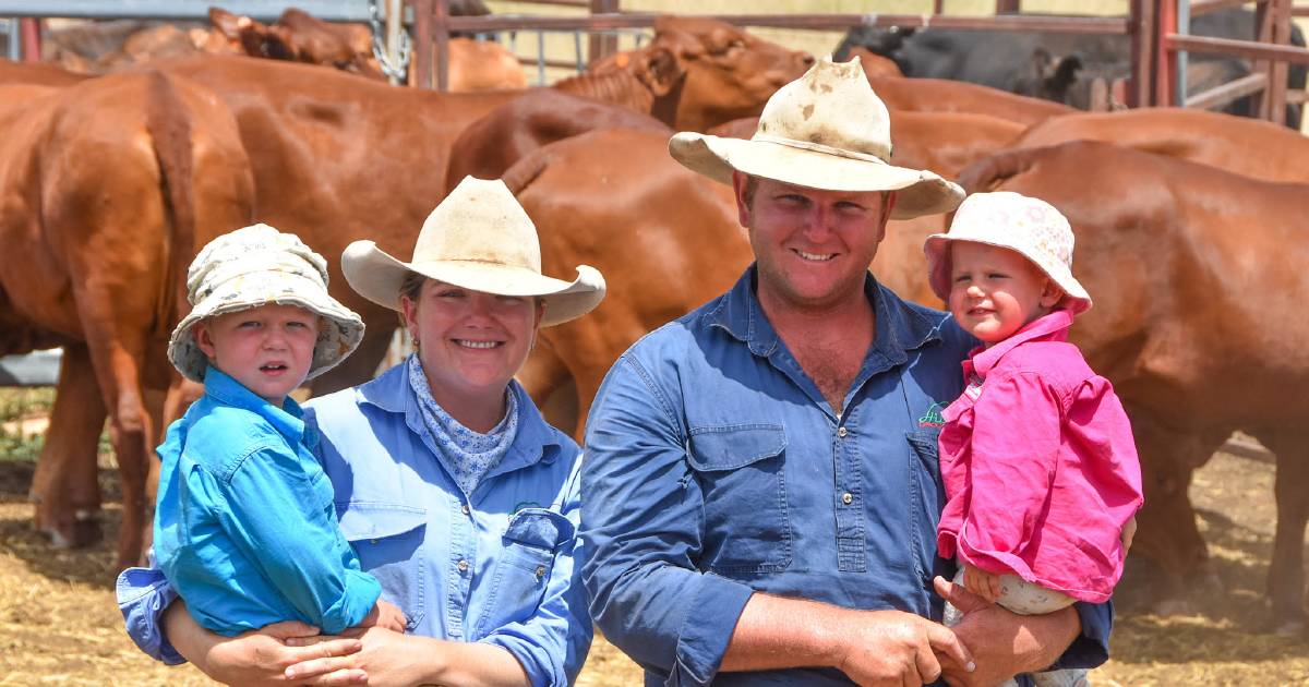 Early joining to bring better market flexibility for the Angus family