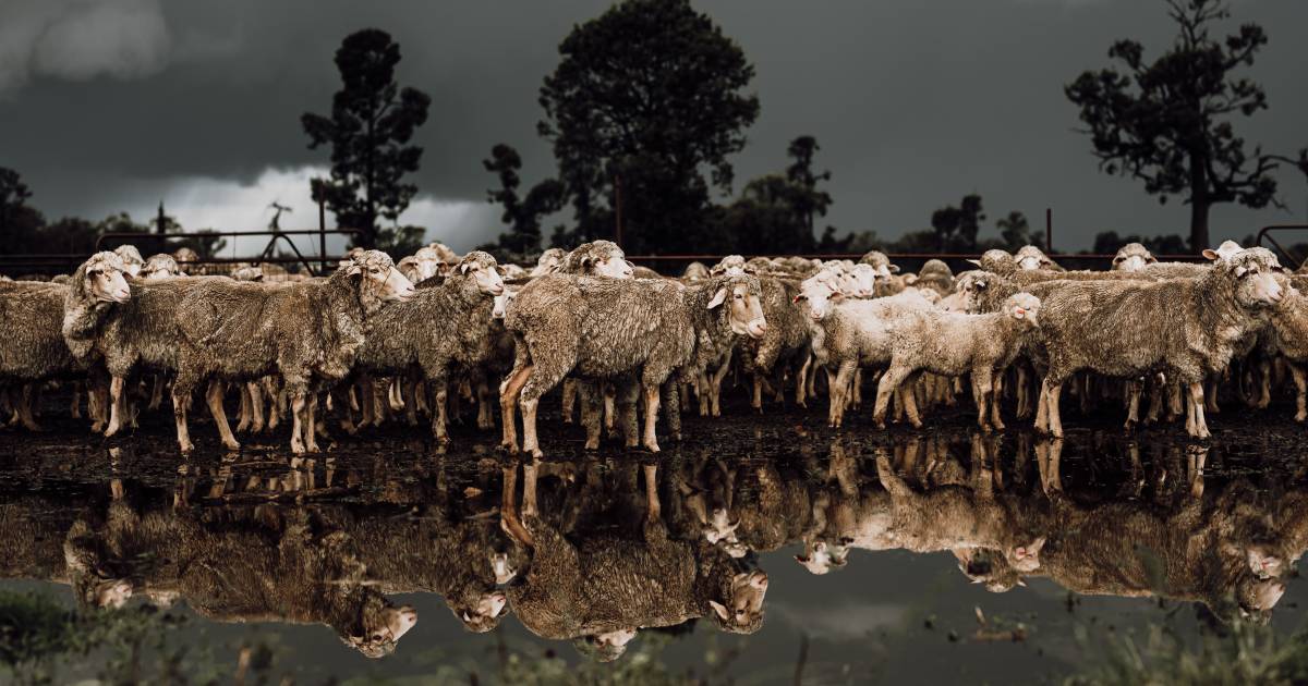 Record rainfall and flash floods