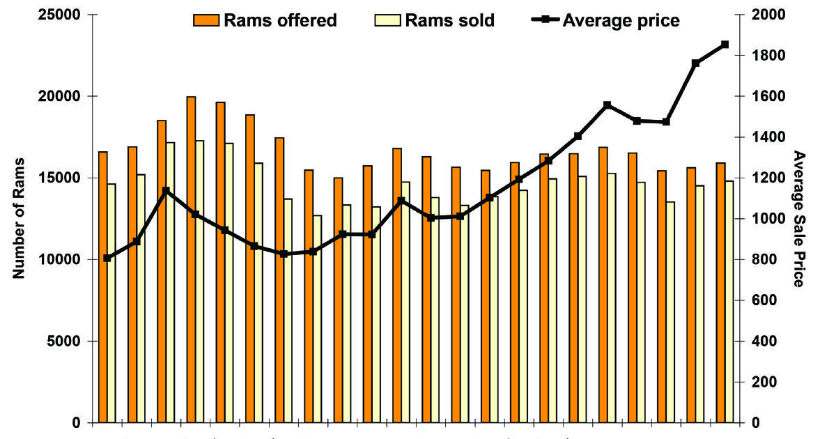 Another record-breaking WA ram season