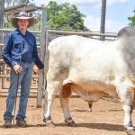 Upper Hunter Beef Bonanza 2022: Zoe Rudder of Calrossy Anglican School wins junior judging | The Land