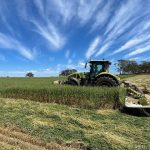 Well watered Baroona hits the market