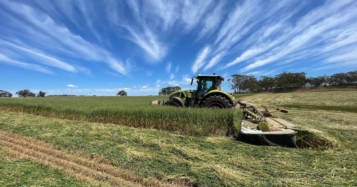 Hay hay, it's going to be a good season…in WA