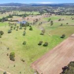 Grape block floods in Mildura