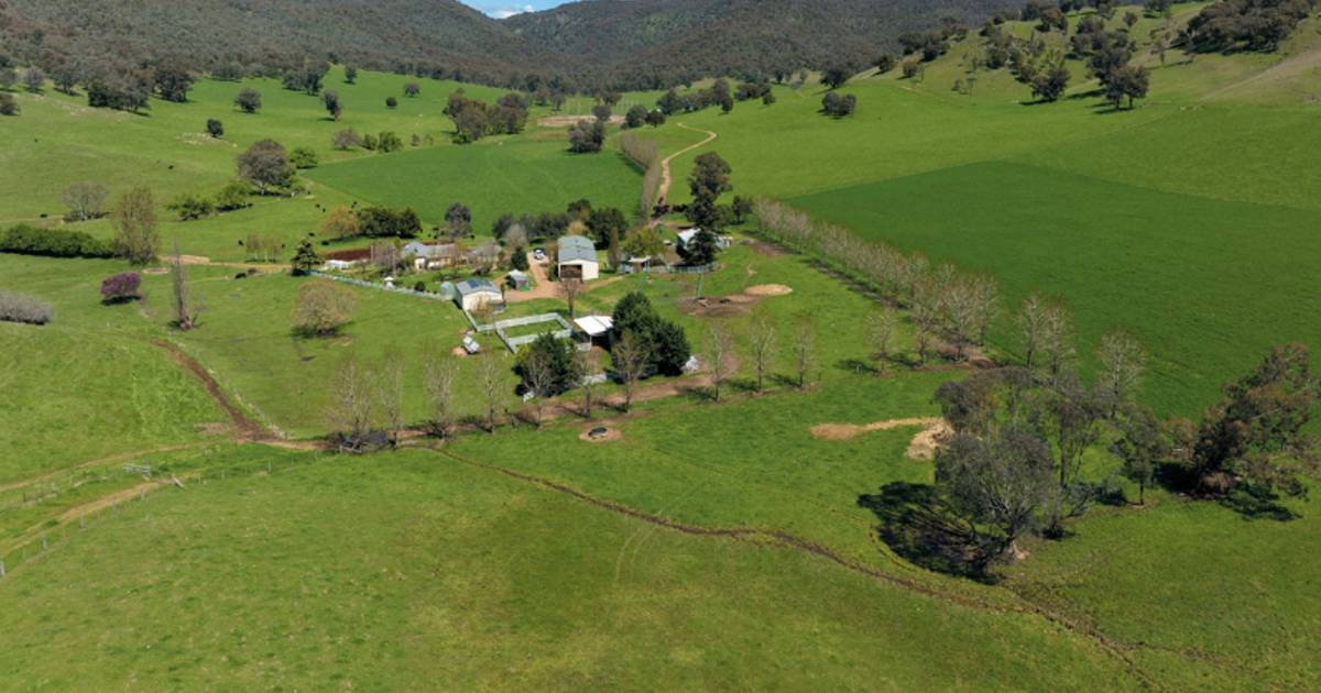 Top Tumut farm in two distinct halves