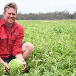 Highland world record smashed by Victorian producers