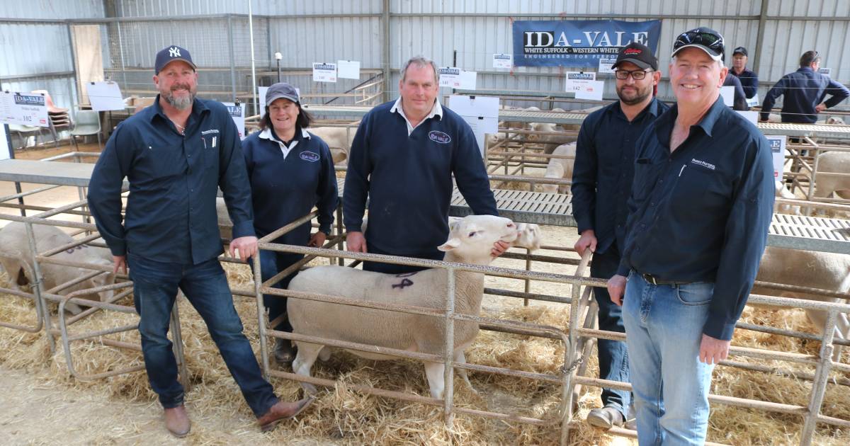 Ida Vale stud principals Andrew Greenup and Tamesha Gardner sell ewe flock to Rhodes Pastoral, Boree Park stud | Farm Weekly