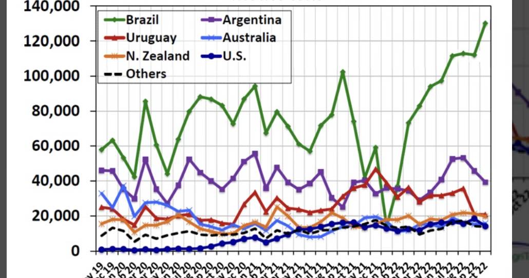 Processors watch cattle price slide with interest, but won’t be in a hurry to reach maximum production | The Land