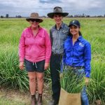 Minimise red tape for NSW flood survivors