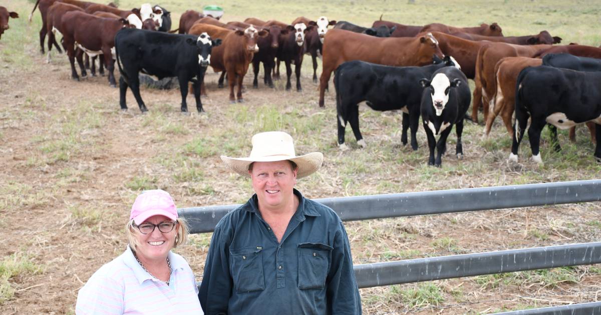 The season that keeps on giving for Roma graziers