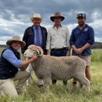 Cattle tech, innovations solve feedlot problems