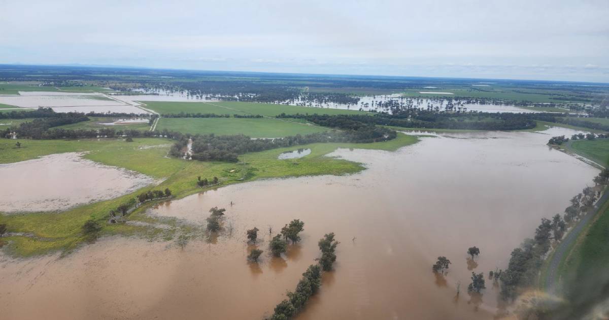 So far flood grants reach $174m