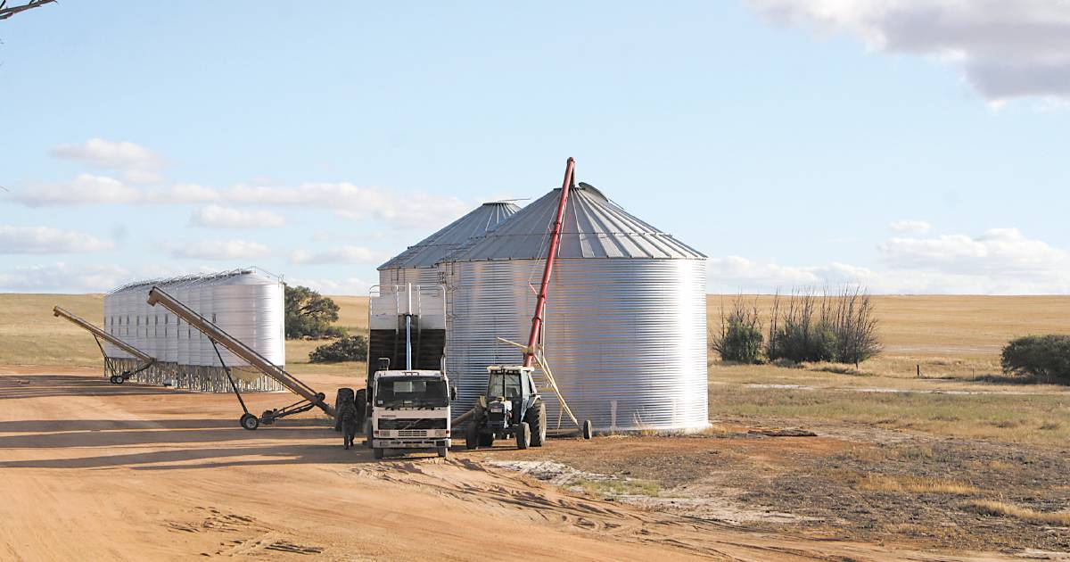 Calculate your grain emissions